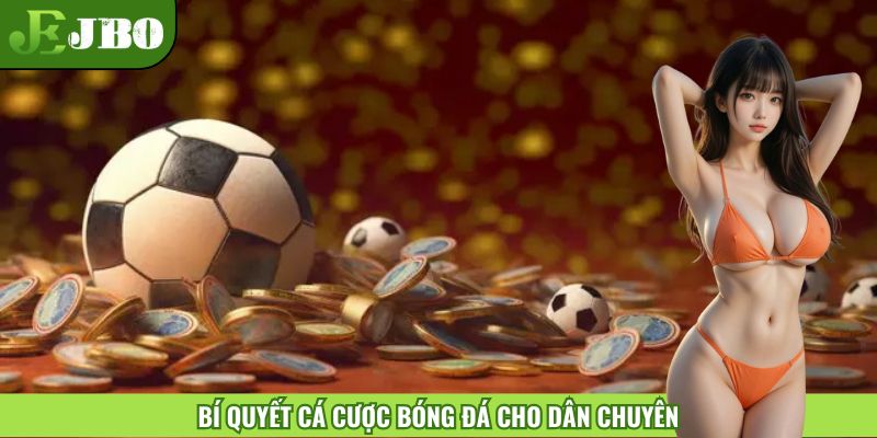 Chiến thuật để cá cược đúng cách